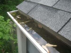 Clogged Gutters (Google Image Search)